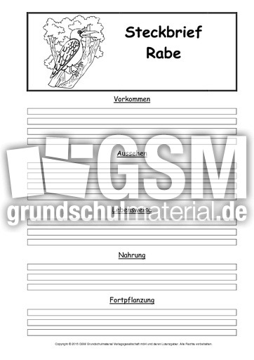 Steckbriefvorlage-Rabe.pdf